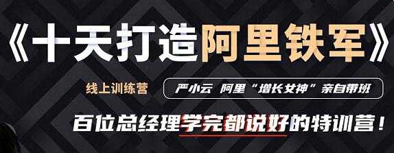 严小云销售特训营《十天快速打造阿里铁军》百位总经理学完都说好-创业网