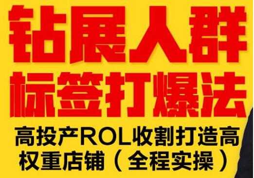 逐鹿《淘宝钻展人群标签打爆法》高投产ROL收割打造高权重店铺(全程实操)-创业网