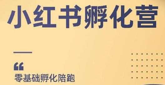 小红书撸金项目，教你如何快速起号获得曝光，做到月躺赚在3000+-创业网