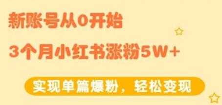 小红书涨粉变现《新账号从0开始3个月小红书涨粉5W+》实现单篇爆粉-创业网