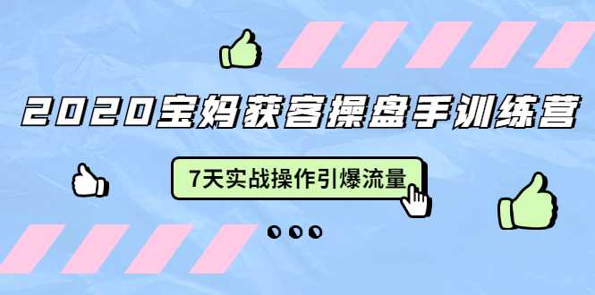 2020宝妈获客操盘手训练营：7天实战操作引爆 母婴、都市、购物宝妈流量-创业网