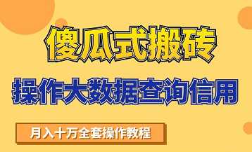 搬砖操作大数据查询信用项目赚钱教程，祝你快速月入6万-创业网