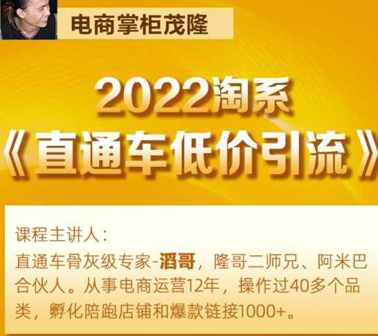 茂隆2022直通车低价引流玩法，教大家如何低投入高回报的直通车玩法-创业网