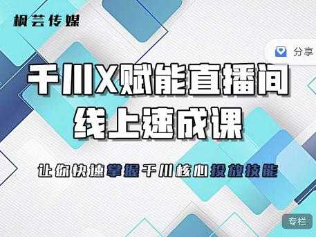 枫芸传媒-线上千川提升课，提升千川认知，提升千川投放效果-创业网