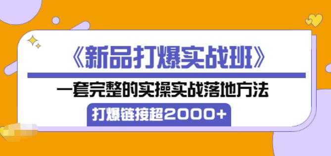 凌童《新品打爆实战班》,一套完整的实操实战落地方法，打爆链接超2000+（28节课)-创业网