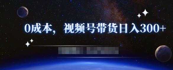 零基础视频号带货赚钱项目，0成本0门槛轻松日入300+【视频教程】-创业网