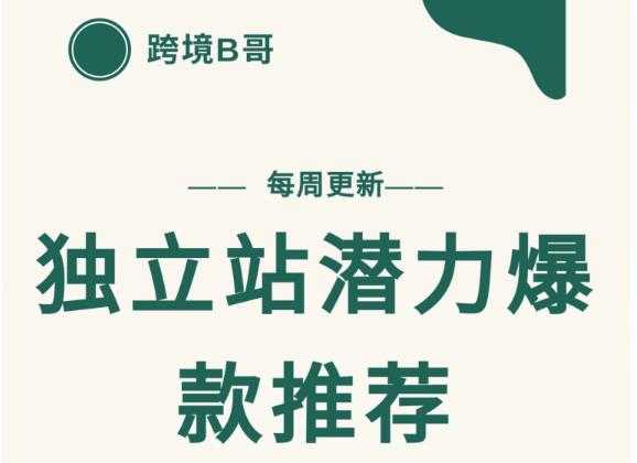 【跨境B哥】独立站潜力爆款选品推荐，测款出单率高达百分之80-创业网