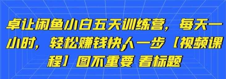 图片[1]-卓让《闲鱼项目小白五天训练营》每天一小时，轻松赚钱快人一步-创业网