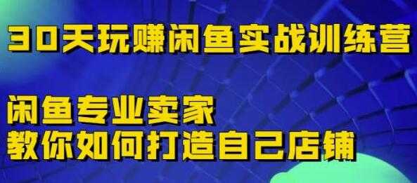 图片[1]-《30天玩赚闲鱼实战训练营》闲鱼专业卖家教你如何打造自己店铺-创业网