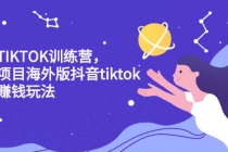 海外TIKTOK训练营，百万项目海外版抖音tiktok流量赚钱玩法-创业网