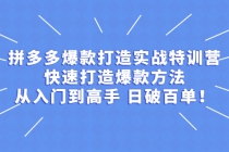 拼多多爆款打造实战特训营：快速打造爆款方法，从入门到高手 日破百单-创业网