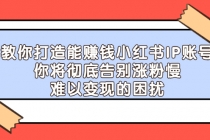 教你打造能赚钱小红书IP账号：你将彻底告别涨粉慢，难以变现的困扰-创业网