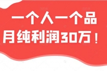 某公众号付费文章：一个人一个品月纯利润30万的蓝海电商经典案例！-创业网