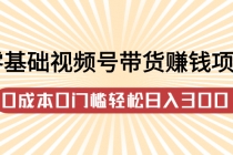 零基础视频号带货赚钱项目，0成本0门槛轻松日入300+【视频教程】-创业网