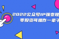 2022公众号IP强变现项目，零投资可操作一辈子-创业网