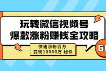 玩转微信视频号爆款涨粉赚钱全攻略，快速涨粉百万 变现10000万 秘诀-创业网