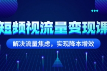 短频视流量变现课：解决流量焦虑，实现降本增效-创业网