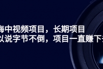 蓝海中视频项目，长期项目，可以说字节不倒，项目一直赚下去！-创业网