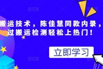 最新搬运技术视频替换，陈佳慧同款内录，测试最高跑了2亿-创业网