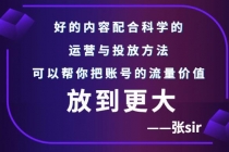 张sir账号流量增长课，告别海王流量，让你的流量更精准-创业网