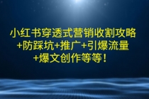 小红书穿透式营销收割攻略+防踩坑+推广+引爆流量+爆文创作等等！-创业网