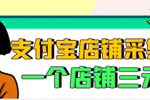 【信息差项目】支付宝店铺采集项目，只需拍三张照片，轻松日赚300-500-创业网