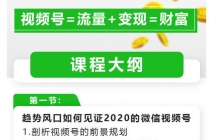 玩转微信视频号赚钱：小白变大咖 涨粉百万 实现快速变现1000万的现金流-创业网