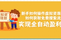 新手如何操作虚拟资源项目：如何获取免费搜索流量，实现全自动盈利！-创业网