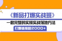 《新品打爆实战班》一套完整的实操实战落地方法，打爆链接超2000+（28节课)-创业网