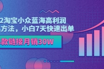 2022淘宝小众蓝海高利润选品方法，小白7天快速出单，单款链接月销30W-创业网