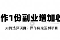 新手如何通过操作副业增加收入，从项目选择到玩法分享！【视频教程】-创业网