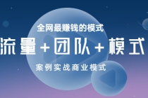 全网最赚钱的模式《流量+团队+模式》案例实战商业模式-创业网