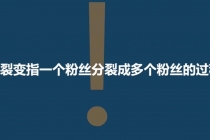 「粉丝裂变训练营」0-1-1w爆发式增长，24小时不断的涨粉-睡觉也在涨-16节课-创业网