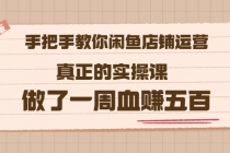 2022版《手把手教你闲鱼店铺运营》真正的实操课 做了一周血赚五百 (16节课)-创业网