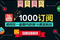 油管涨粉教程：一星期内获得1000真实粉丝，免费且快速的方法 操作简单-创业网