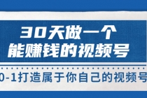 30天做一个能赚钱的视频号，从0-1打造属于你自己的视频号 (14节)-创业网