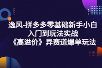 逸风-拼多多零基础新手小白入门到玩法实战《高溢价》异赛道爆单玩法实操课-创业网