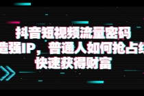 抖音短视频流量密码：打造强IP，普通人如何抢占红利，快速获得财富-创业网