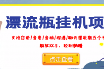 外面收费688的漂流瓶全自动挂机项目，号称单窗口稳定每天收益100+-创业网