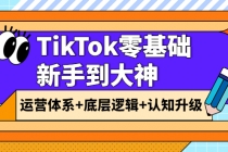 TikTok零基础新手到大神：运营体系+底层逻辑+认知升级-创业网