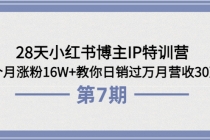 28天小红书博主IP特训营《第6+7期》4个月涨粉16W+教你日销过万月营收30万-创业网