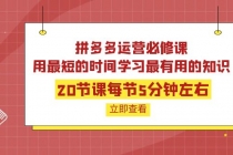 拼多多运营必修课：20节课每节5分钟左右，用最短的时间学习最有用的知识-创业网