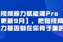 短视频原力赋能课Pro【更新9月】，把短视频能力基因刻在你骨子里的课-创业网