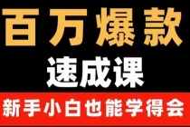 百万爆款速成课：用数据思维做爆款，小白也能从0-1打造百万播放视频-创业网