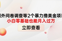 国外问卷调查等2个暴力撸美金项目，小白零基础也能月入过万-创业网