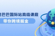 阿里巴巴国际站高级课程：带你跨境掘金，选品+优化+广告+推广-创业网