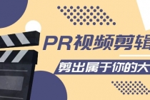 PR视频剪辑课：各种剪辑与视频特效玩法，剪出属于你的大片-创业网