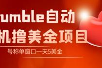 外面收费3888的rumble撸美金项目，号称单窗口一天5美金+【脚本+教程】-创业网