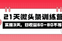 被忽视的微头条，21天微头条训练营，实操3天，日收益60-80不等-创业网