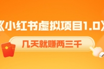 《小红书虚拟项目1.0》账号注册+养号+视频制作+引流+变现，几天就赚两三千-创业网